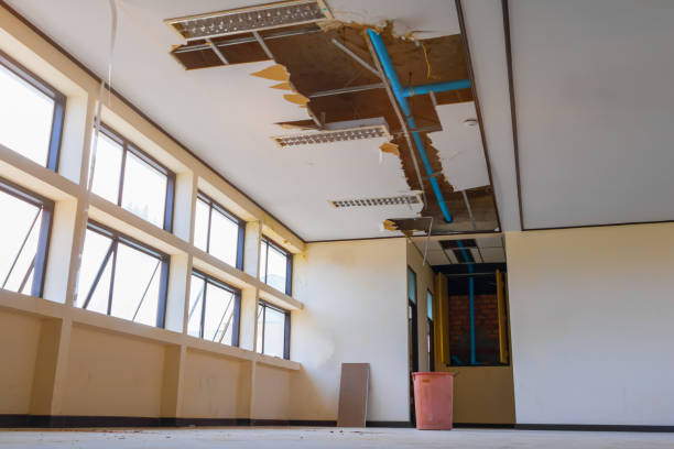 Best Flood damage cleanup  in Rancho Cordova, CA