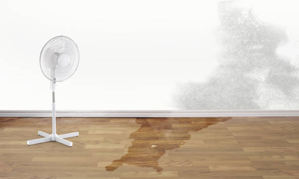 Best Flood restoration services  in Rancho Cordova, CA