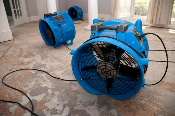 Best Professional water damage repair  in Rancho Cordova, CA