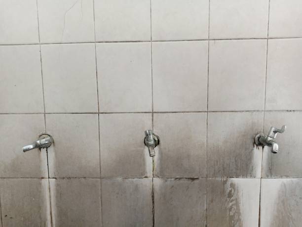 Best Basement water damage restoration  in Rancho Cordova, CA