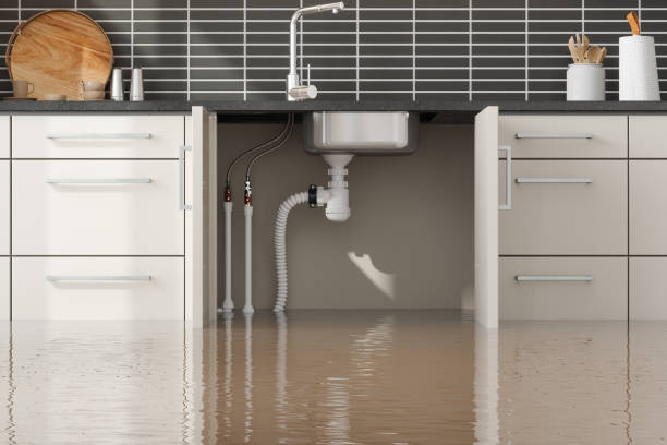 Best Sewage cleanup and water damage restoration  in Rancho Cordova, CA